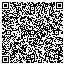 QR code with Pytlik Design Associates contacts
