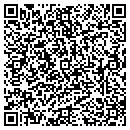 QR code with Project ACE contacts