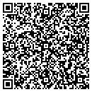 QR code with Christine Dotti Dvm contacts