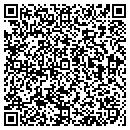 QR code with Puddintown Frameworks contacts