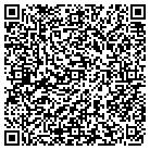 QR code with Professional Touch Carpet contacts