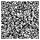 QR code with Professional Electrical contacts