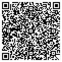 QR code with LDB Amusements Inc contacts