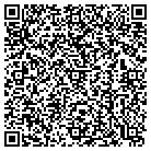 QR code with Plumtree Software Inc contacts
