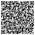 QR code with Nelsons Arrows contacts