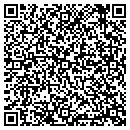 QR code with Professional Security contacts