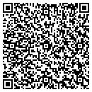 QR code with Custom View Builders contacts