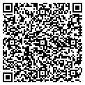 QR code with Dylans contacts