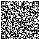 QR code with PPS Intl Inc contacts