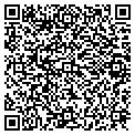 QR code with Modis contacts