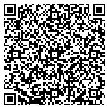 QR code with Auto Insights contacts