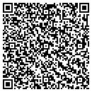 QR code with Blue Visual Effects contacts