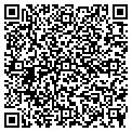 QR code with Bgtech contacts