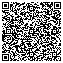 QR code with Puzzle Distribution contacts