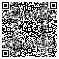 QR code with IMG Inc contacts