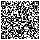 QR code with County Line Stables contacts
