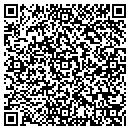 QR code with Chestnut Consignments contacts