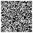 QR code with Charles T De Tulleo contacts