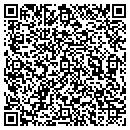 QR code with Precision Search Inc contacts