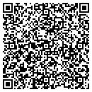 QR code with Print Mail Systems contacts