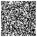 QR code with County Water Co Inc contacts