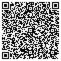 QR code with Pines contacts