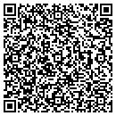 QR code with Pulse Weekly contacts