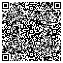 QR code with Precious Threads Inc contacts