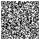 QR code with Public Image contacts