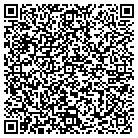 QR code with Pulse Training Facility contacts