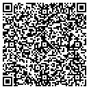 QR code with Carlisle Group contacts