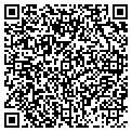 QR code with David D Naeher CPA contacts