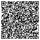 QR code with Bayland Battery Corp contacts