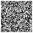 QR code with Precision Works contacts