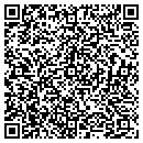 QR code with Collectibles Store contacts