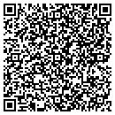 QR code with Premier Conduit contacts