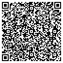QR code with Chestnut Electronics contacts