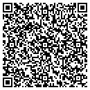 QR code with Putman Place contacts