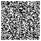 QR code with Blimpie Subs & Salads contacts