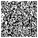 QR code with Public Work contacts