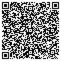 QR code with Mirrorstone Images contacts