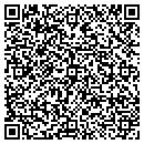 QR code with China Travel Service contacts