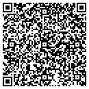 QR code with Cattron-Theimeg Intl Ltd contacts
