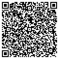 QR code with AIG contacts