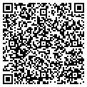 QR code with MSI contacts
