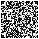 QR code with Pro-Fast Inc contacts