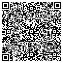 QR code with Cyberniche Software contacts
