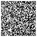 QR code with Stein's Clean Sweep contacts