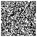 QR code with Custom Views contacts
