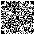 QR code with Salon contacts